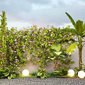 Climbing Vines With Purple Flowers And Green Leaves On Wall With Round Lights