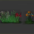 Various Garden Plants With Green Grass And Colorful Flowers In Different Forms