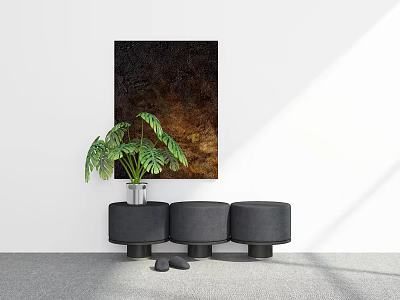 Three Black Round Shoe Stools With Green Plant And Wall Painting Near Slippers 3d model