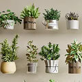 Stylish Modern Bonsai Potted Plants With Various Green Succulents And Decorative Planters