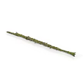 Long Green Stick Insect With Spiky Body Resembling Tree Branch In Wild