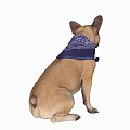 Cute French Bulldog Sitting Wearing Blue Bandana Looking Adorable