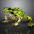 Green Frog With Black Spots Large Eyes And Detailed Paws On Dark Background