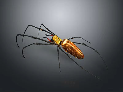 Golden Spider With Long Legs And Red Markings Close Up View 3d model