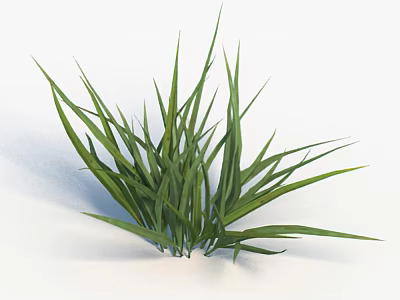 Grass 3d model Grass 3d model