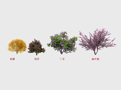 Beautiful Garden Flowers Featuring Yellow Forsythia Winter Jasmine Purple Lilac And Flowering Almond 3d model