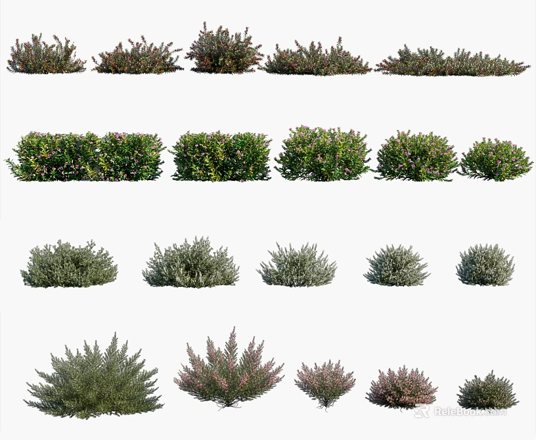 Different Varieties of Garden Shrubs with Various Shapes Sizes and Colors 3d model 