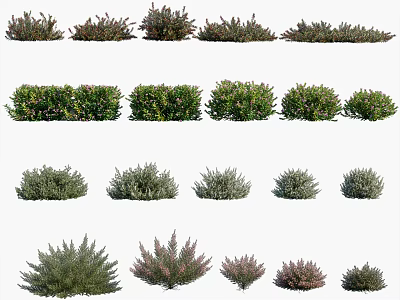 Different Varieties of Garden Shrubs with Various Shapes Sizes and Colors 3d model