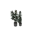 Decorative Ornament Set With Various Heights Green Plants In Metal Pots For Indoor Decoration