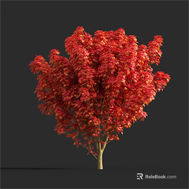 Vibrant Red Leaf Arbor Tree With Lush Canopy Isolated On Dark Background 3d model 