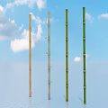 Different Colored Bamboo Plants Standing On Light Surface With Blue Sky And White Clouds