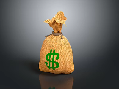 Brown Hemp Bag With Green Dollar Sign For Daily Living Use 3d model