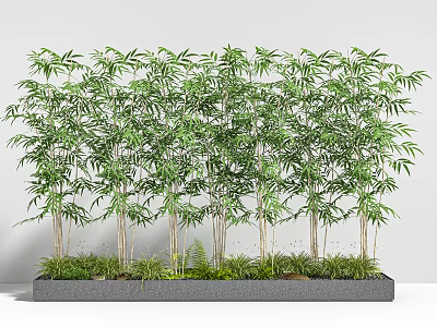 Lush Bamboo Plants In Modern Planter With Grass 3d model