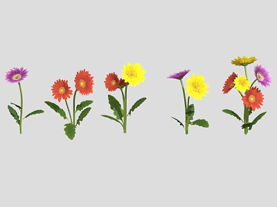 Colorful Flowers With Purple Red Yellow Petals Green Stems And Leaves Arranged In Row 3d model