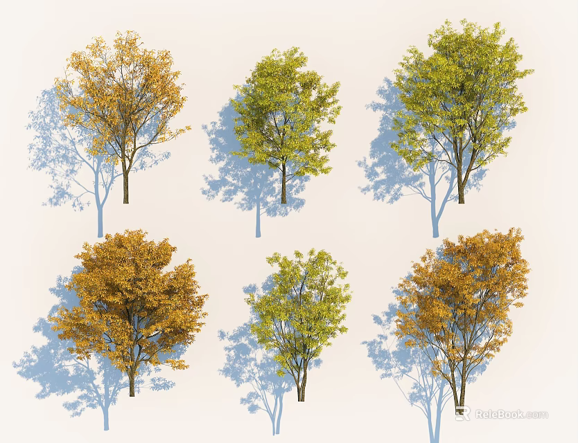 Colorful Arbor Trees With Yellow Green Leaves And Long Shadows 3d model 