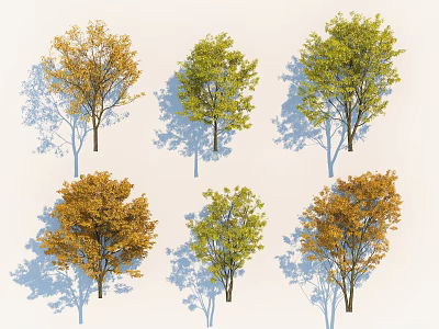 Colorful Arbor Trees With Yellow Green Leaves And Long Shadows 3d model
