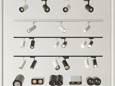 Modern Downlights And Spotlights White And Black Track Mounted Various Styles For Home Lighting 3d model