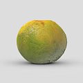 Single Fresh Round Green And Yellow Orange With Textured Skin On Gray Background