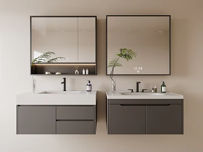 Modern Gray Double Bathroom Vanity With Mirrors Sink Faucet And Potted Plant 3d model
