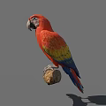 Vibrant Red Parrot With Colorful Yellow Green Wings Perched Gracefully On Wooden Branch