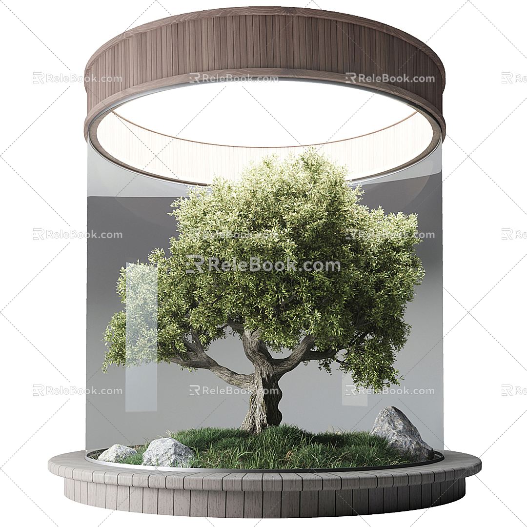 Modern Tree Landscape Tree 3d model