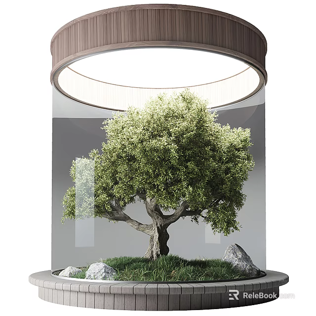 Lush Green Arbor Growing In Glass Enclosure With Circular Ceiling Light And Stones 3d model 