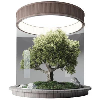 Lush Green Arbor Growing In Glass Enclosure With Circular Ceiling Light And Stones 3d model