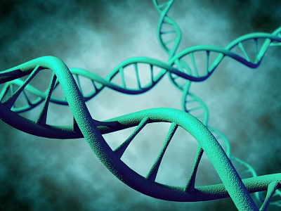 modern gene helix structure 3d model