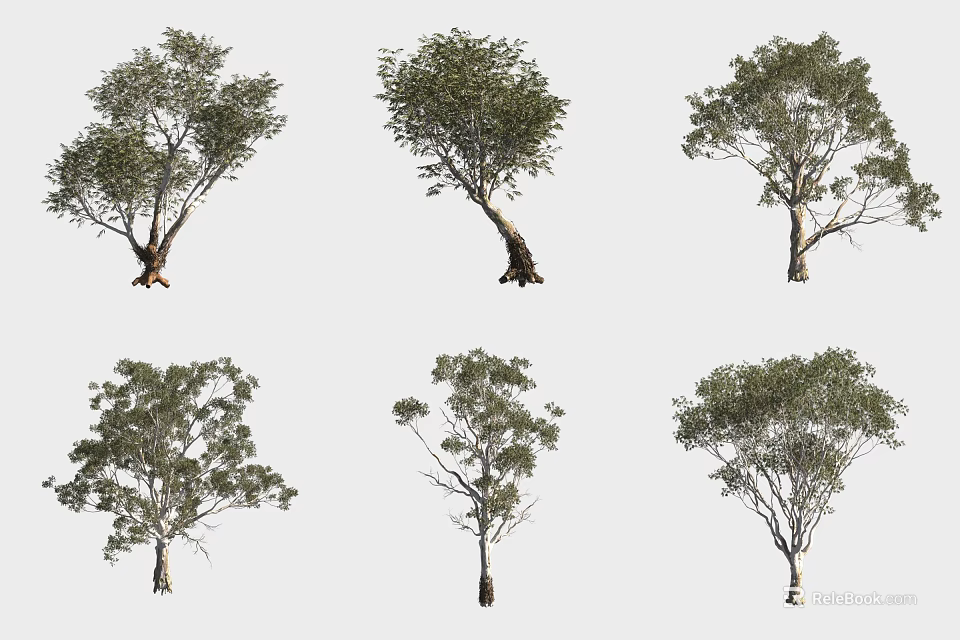 Various Shrub Varieties Showcased In Different Growth Forms 3d model