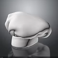 White Chef Hat For Kitchen Cooking With Soft Cotton Material And Professional Design 3d model