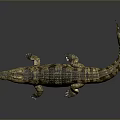 Brown and yellow patterned crocodile lying on smooth surface with reflection against gray background 3d model