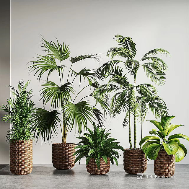 Various Types of Green Potted Plants in Wicker Baskets with Light Colored Walls Background 3d model 