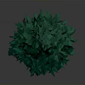 Green Conical Tree with Dense Leaves on Dark Background and Orange Base