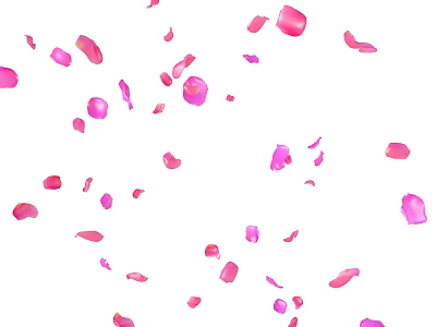 Beautiful Pink Flower Petals Softly Falling in the Air Creating Romantic Atmosphere 3d model