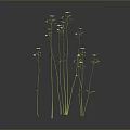 3D Rendered White Small Flowers with Green Stems and Leaves on Black Background