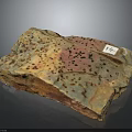 Wooden Stone Slab With Natural Speckled Pink Brown Gray Colors And Label 12