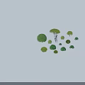 Green Shrubs With Various Shapes Different Sizes And Purple Flowers Around Human Figure Model