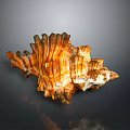 Intricate Brown And White Striped Conch Shell With Textured Spiral Structure On Dark Reflective Surface