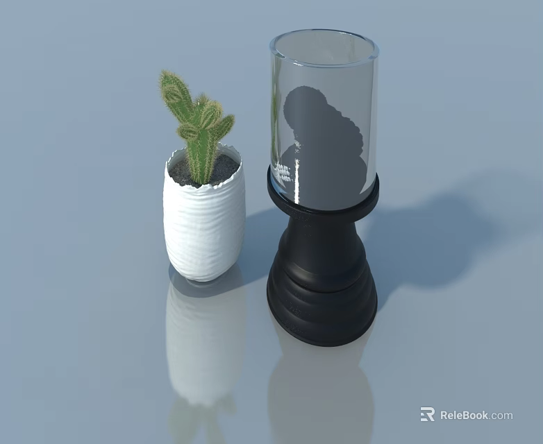 Stylish Swing Door Design With Potted Cactus And Glass Vase Decor 3d model 