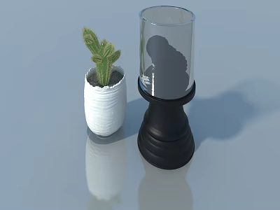 Stylish Swing Door Design With Potted Cactus And Glass Vase Decor 3d model