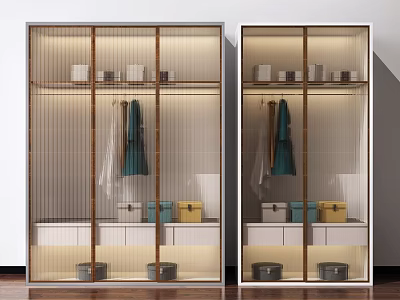 Modern Wardrobe with Glass Doors Interior Lighting Hanging Space Drawers and Storage Boxes 3d model