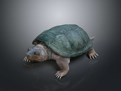 Realistic Reptile Turtle With Green Spiky Shell And Sharp Claws On Gray Background 3d model