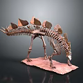 Stegosaurus Dinosaur Skeleton Model With Back Plates And Detailed Structure 3d model