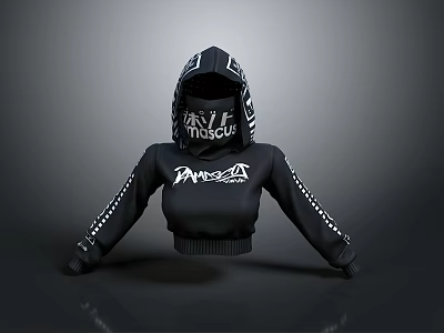 Black Cropped Hoodie With White Graphics And Checkered Sleeves For Casual Wear 3d model