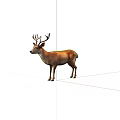Realistic 3D Brown Deer With Antlers Standing On Black Background 3d model