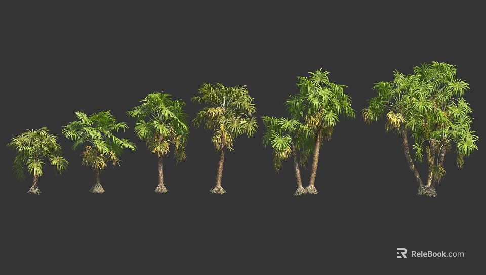 Various Form Palm Trees With Different Trunks And Green Leaves 3d model