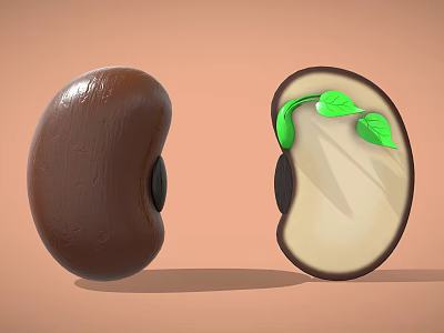 Whole Brown Bean and Split Germinating Bean with White Interior Green Sprout and Leaves 3d model