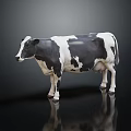 3D Rendered Black And White Cow Standing On Dark Background With Reflection
