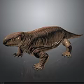 3D Reptile Character With Reddish Brown Wrinkled Textured Skin Standing On Smooth Surface
