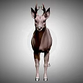 Realistic 3D Model of Standing Deer With Antlers on Gray Gradient Background